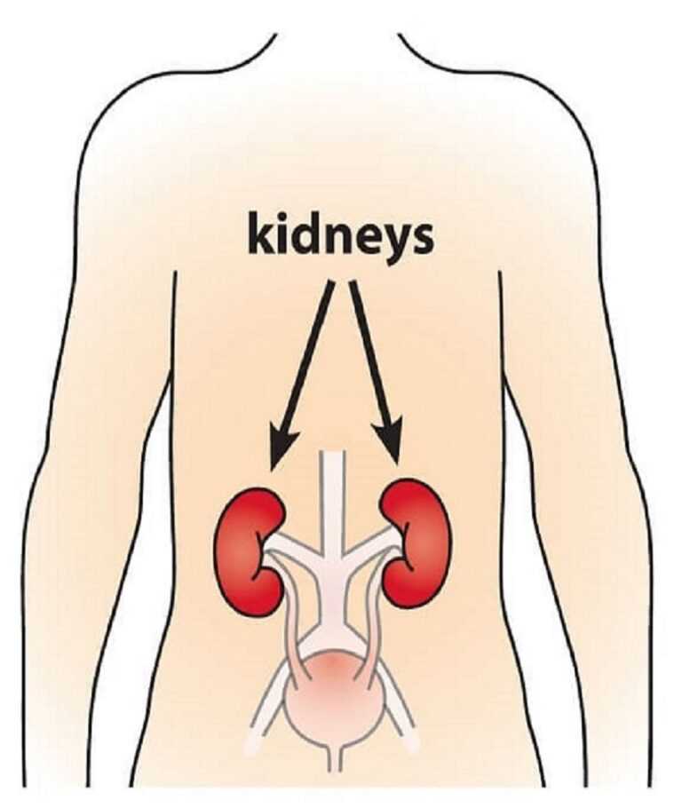 Οξεία Νεφρική Βλάβη: Δεν σχετίζεται με επιδείνωση της νεφρικής λειτουργίας σε άτομα με χρόνια νεφρική ανεπάρκεια