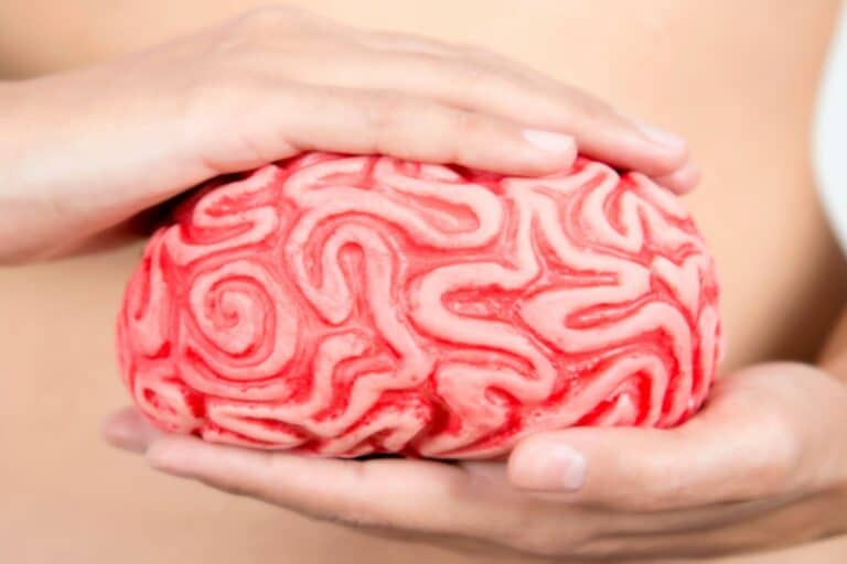 Γνωστικές δεξιότητες: Πώς συνδέονται με την υγεία του πεπτικού;