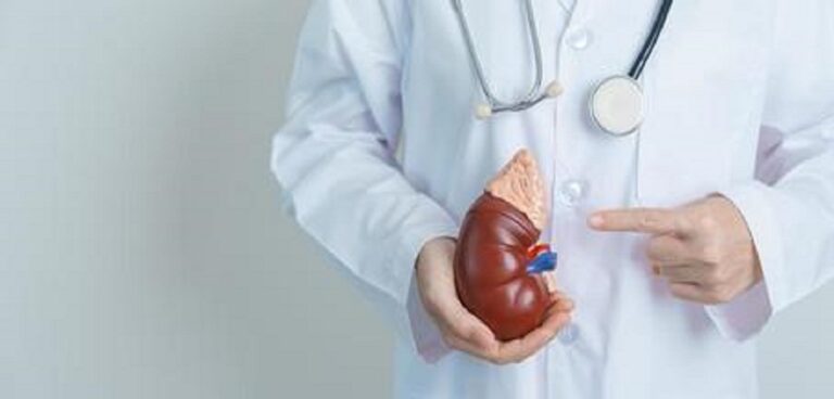 Μεταμόσχευση Μιτοχονδρίων: Πιθανή θεραπεία αναστροφής της βλάβης των νεφρών και των νεφρικών κυττάρων