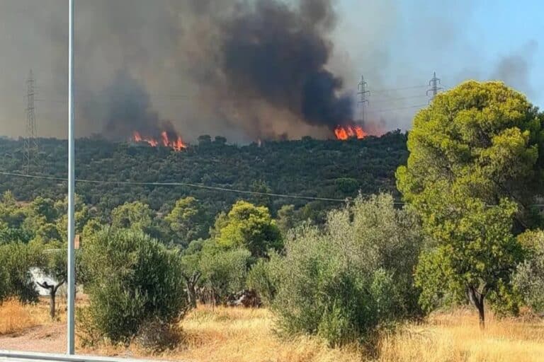 Παλαιοβαρβάσαινα: Μήνυμα 112 για εκκένωση του οικισμού – Προσαγωγή υπόπτου για εμπρησμό στην Ηλεία