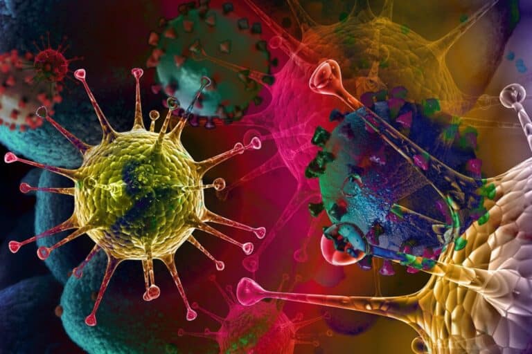 ΕΟΔΥ: 15 θάνατοι από Covid και 17 διασωληνωμένοι την τελευταία εβδομάδα