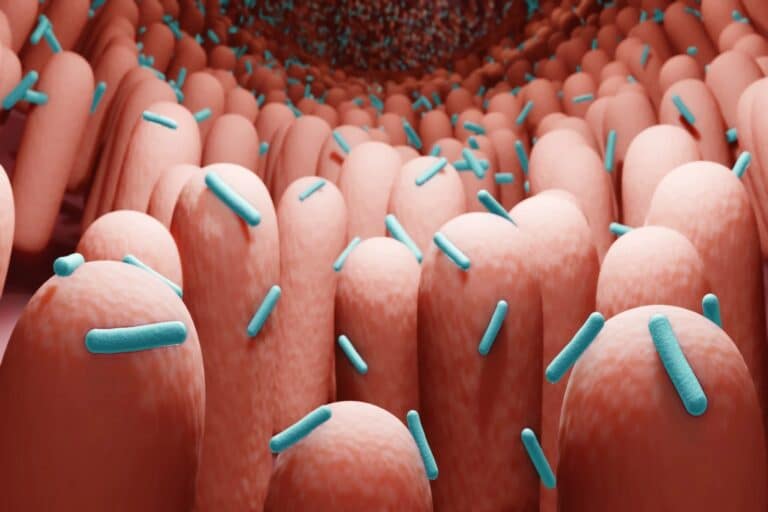 Μικροβίωμα διατροφή: Διατροφή που συνδέεται με αλλαγές στο μικροβίωμα