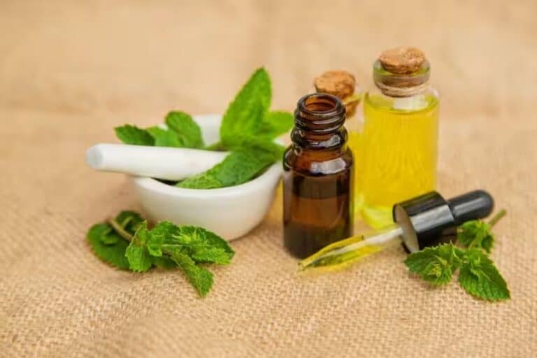 Έλαιο ιερού βασιλικού: 6 εύκολα βήματα για τη δημιουργία ελαίου ιερού βασιλικού για τα μαλλιά