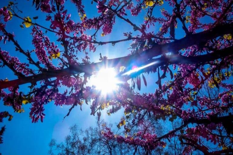 Καιρός 7/8: Ήπια ξεκινά η εβδομάδα με θερμοκρασία έως 36 βαθμούς