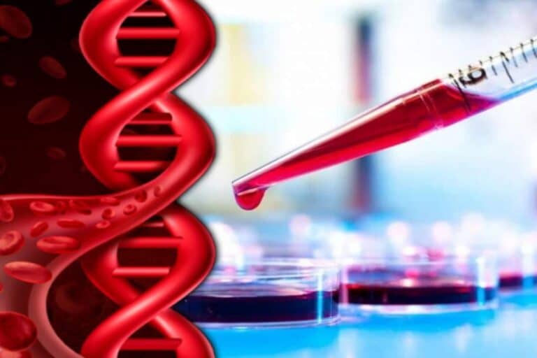 Θαλασσαιμία: Προχωρώντας προς ένα μέλλον χωρίς θαλασσαιμία