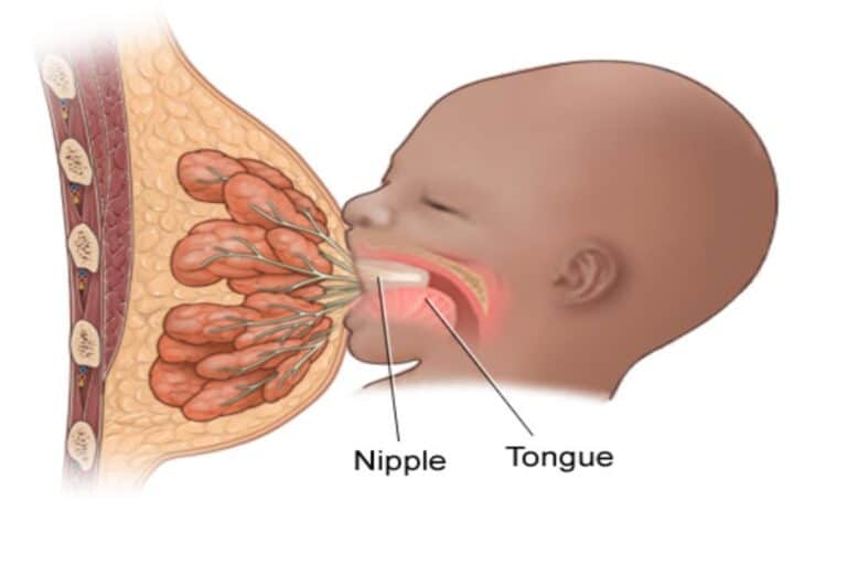 Μητρικός θηλασμός: Συμβουλές για να ενισχύσετε την παραγωγή γάλακτος