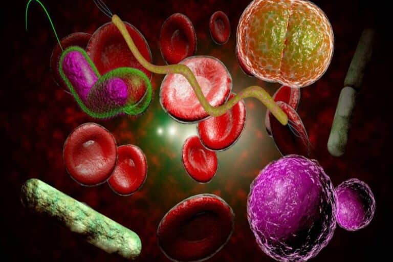 CLABSI: Υψηλή θνησιμότητα στα ελληνικά νοσοκομεία από λοιμώξεις κυκλοφορίας αίματος λόγω καθετήρα