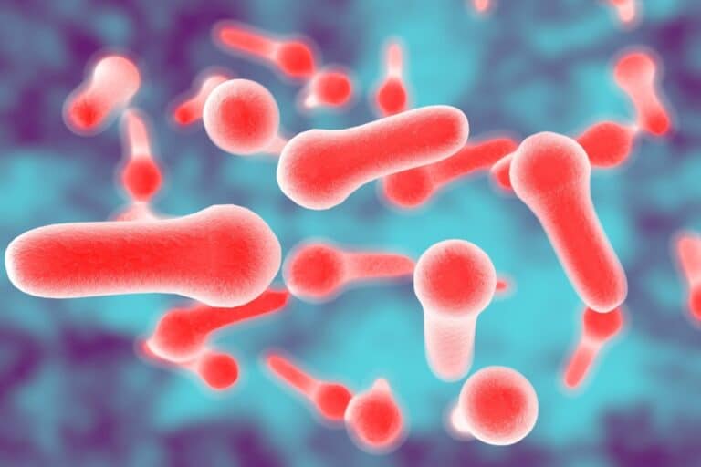 Αλλαντίαση: Ξέσπασμα αλλαντίασης σε εστιατόριο του Μπορντό