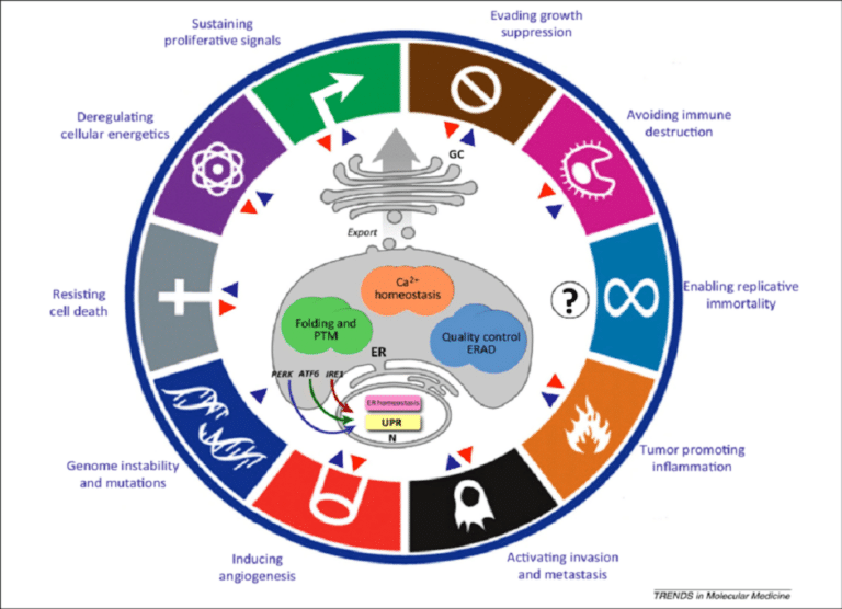 Καρκίνος: Έρευνα διαπιστώνει ότι οι κλινικές δοκιμές για τη νόσο έχουν γίνει πιο ποικιλόμορφες τις τελευταίες δύο δεκαετίες