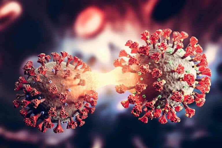 ΕΟΔΥ εβδομαδιαία έκθεση: 32 θάνατοι από Covid – 25 διασωληνωμένοι