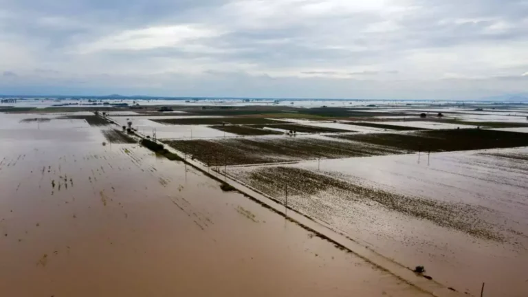 Υπ. Υγείας: Γραμμή Ενημέρωσης για θέματα Δημόσιας Υγείας για τους πλημμυροπαθείς – Πόσα κρούσματα μολυσματικών ασθενειών έχουν καταγραφεί