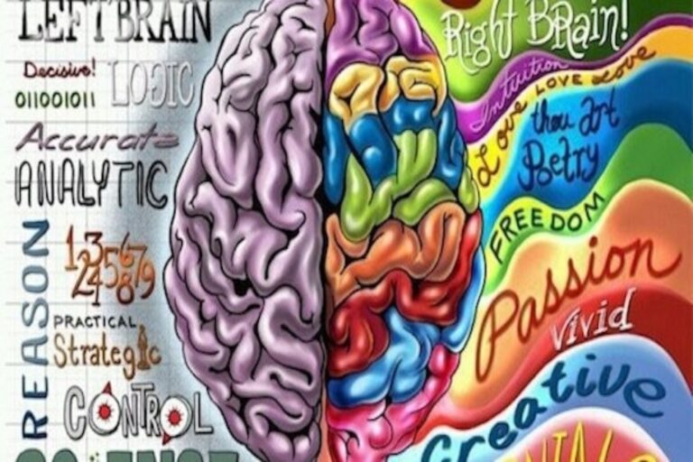Μέρη εγκεφάλου: Κατανόηση του δεξιού και του αριστερού ημισφαιρίου του εγκεφάλου
