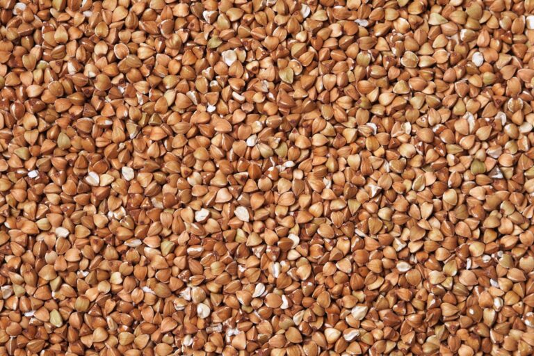 Φαγόπυρο οφέλη: Πώς μπορεί να είναι ωφέλιμο το φαγόπυρο;