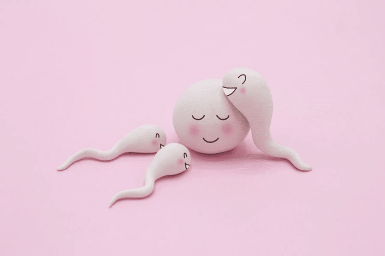 Γυναικεία Γονιμότητα: Αν έχετε τακτικές περιόδους σημαίνει ότι είστε γόνιμη;