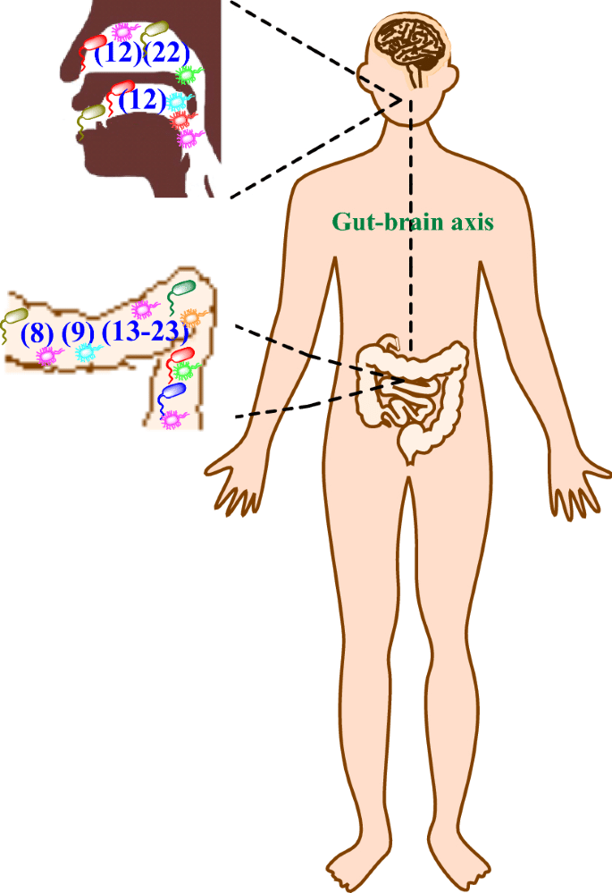 gut b