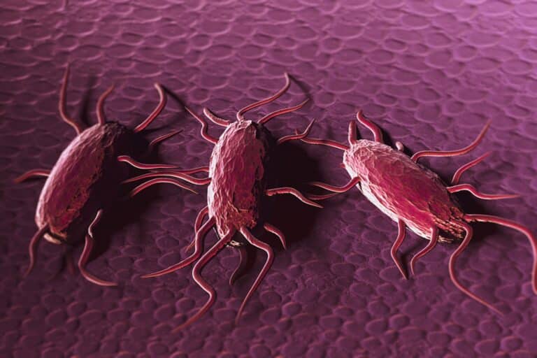 NSW Health Αυστραλία: Προειδοποιεί για αύξηση της λιστερίωσης, προτρέπει σε επαγρύπνηση