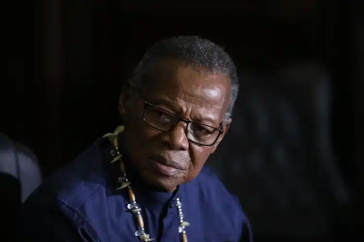 mangosuthu buthelezi zoulou