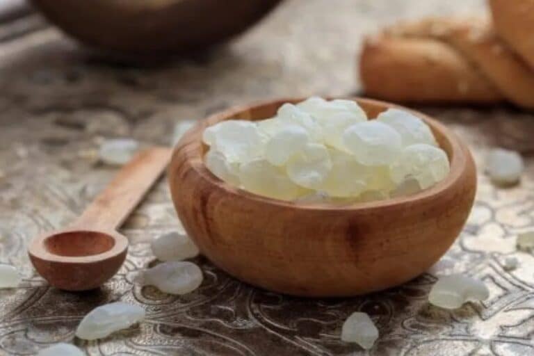 Μαστίχα Χίου: Τα σπουδαία οφέλη της μαστίχας Χίου για την υγεία