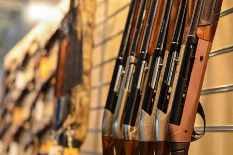 Όπλα βία: Γιατί ο εξευγενισμός ωθεί σε περισσότερη βία από όπλα;