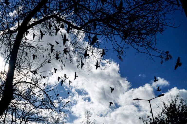 Καιρός 6/10: Παροδικές νεφώσεις και θερμοκρασία σε κανονικά για την εποχή επίπεδα