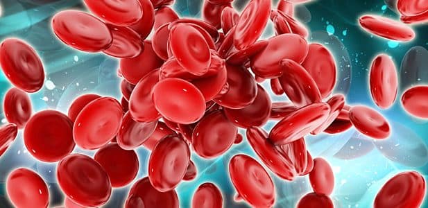 blood cell