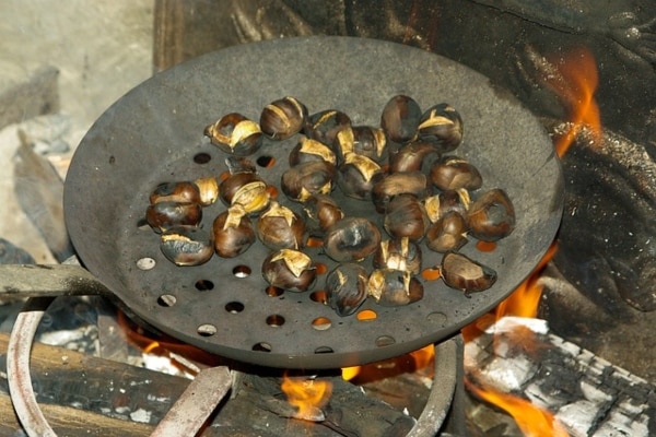kastano 2