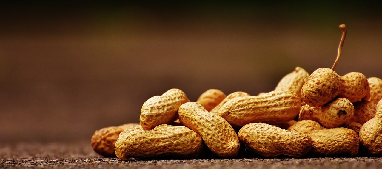 peanuts 1735668 1280