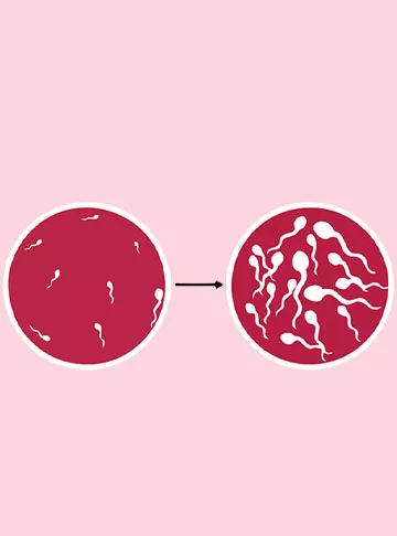 sperm a