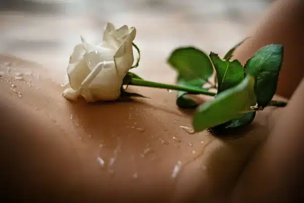 sxesh igineinh e1699212227120
