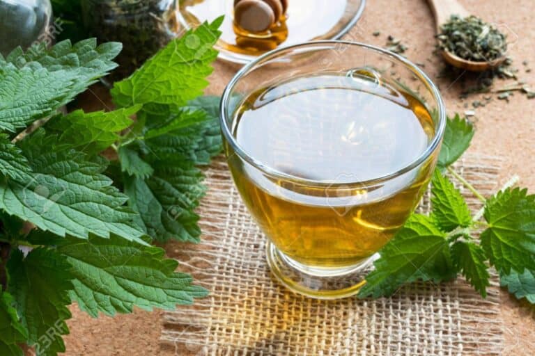 Τσουκνίδα – 7 επιστημονικά αποδεδειγμένα οφέλη του τσαγιού τσουκνίδας