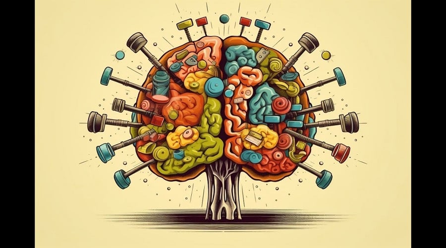 brain w
