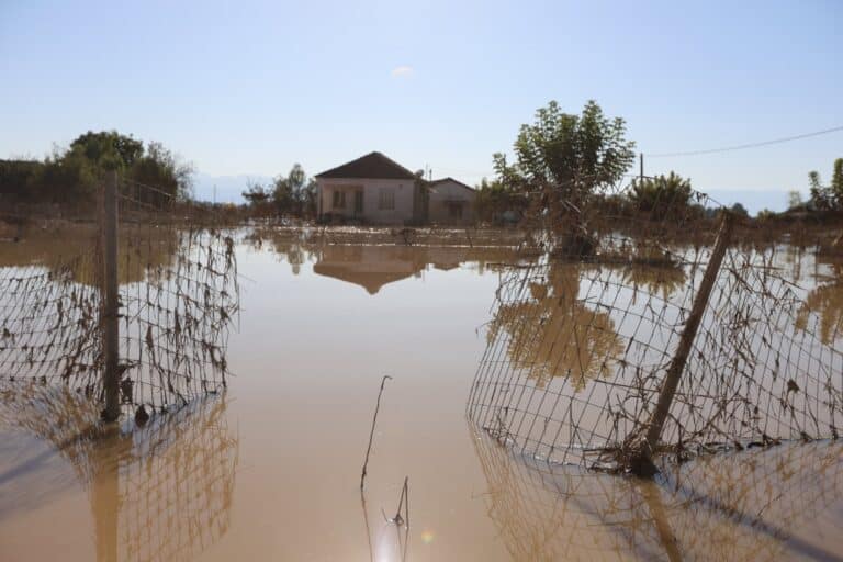 Λίμνη Κάρλα: Έπεσε η στάθμη της λίμνης Κάρλα και αρχίζουν να εμφανίζονται τα νεκρά ζώα