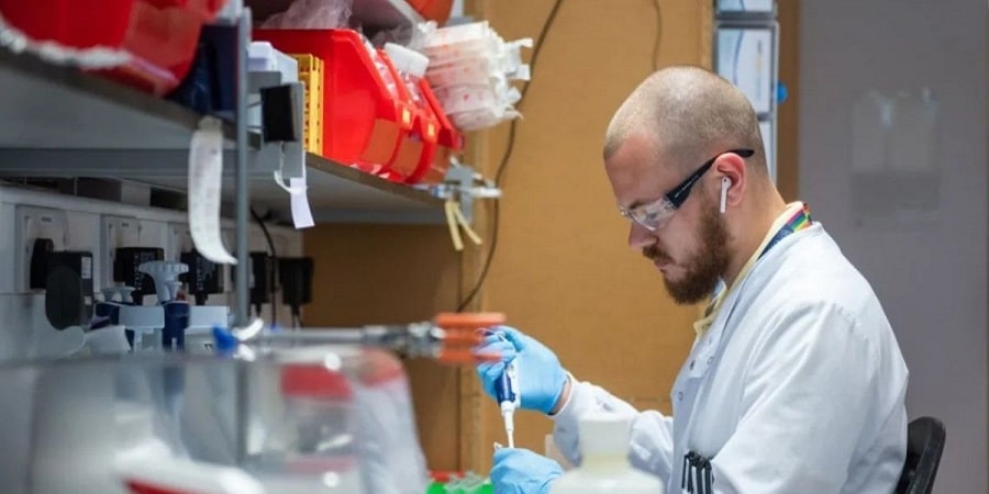 lab