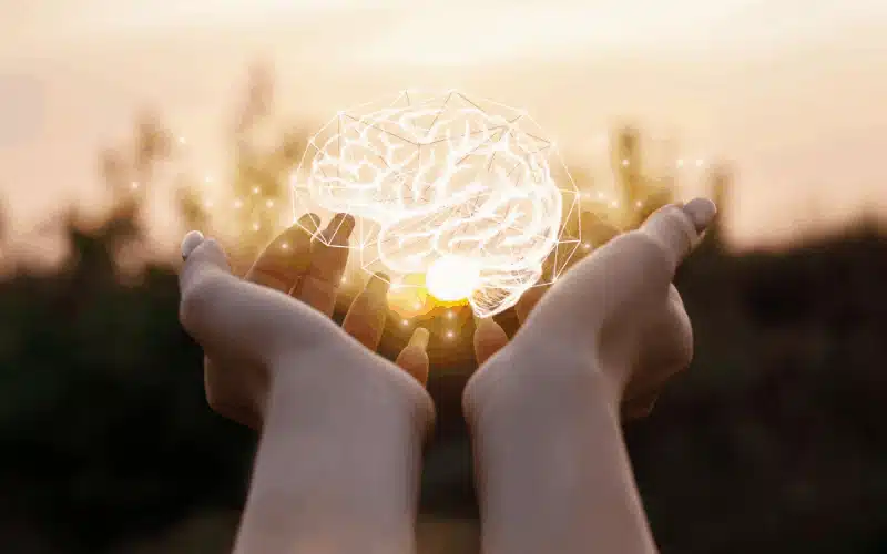 therapeia fos alzheimer