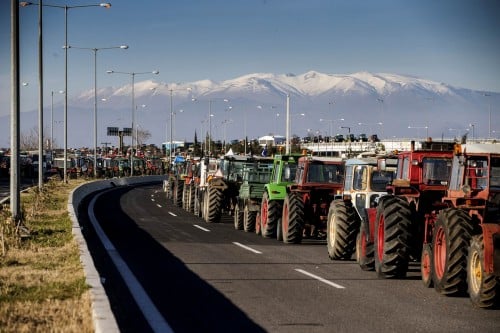 agrotes a