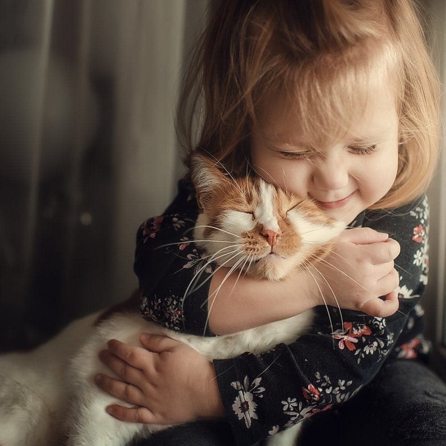 cat a