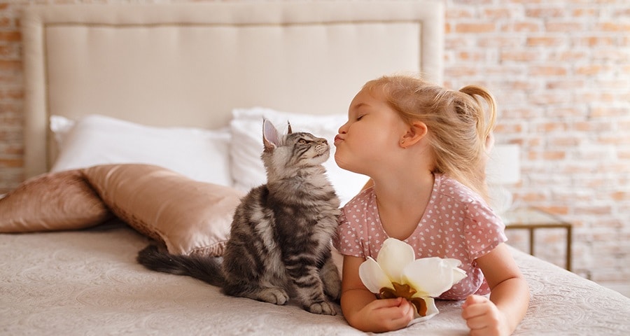 cat b