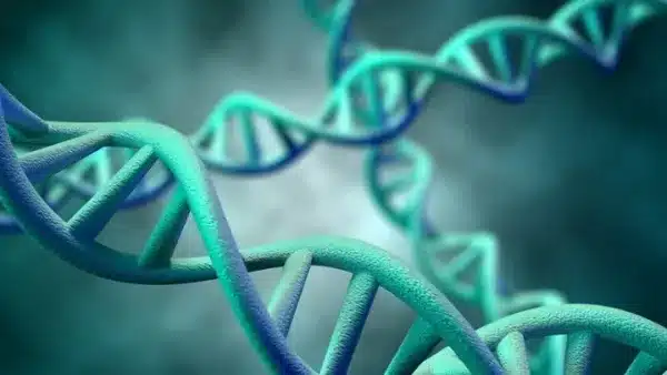 dna