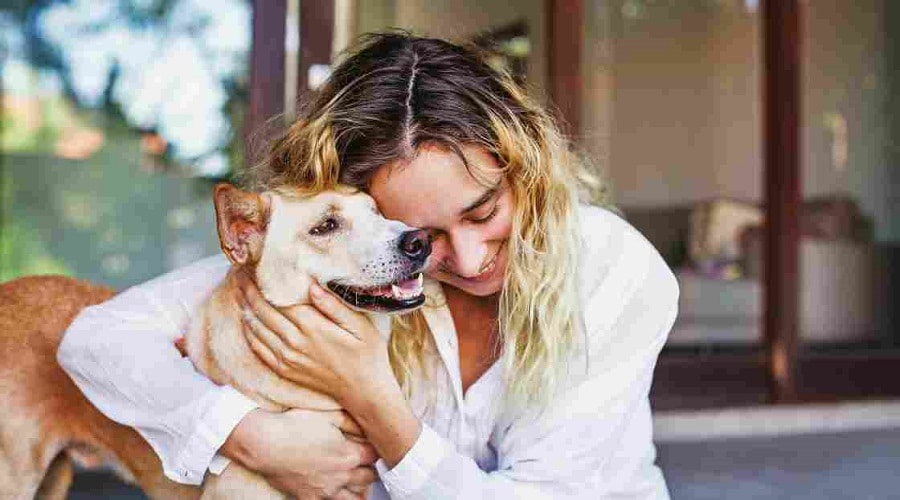 dog