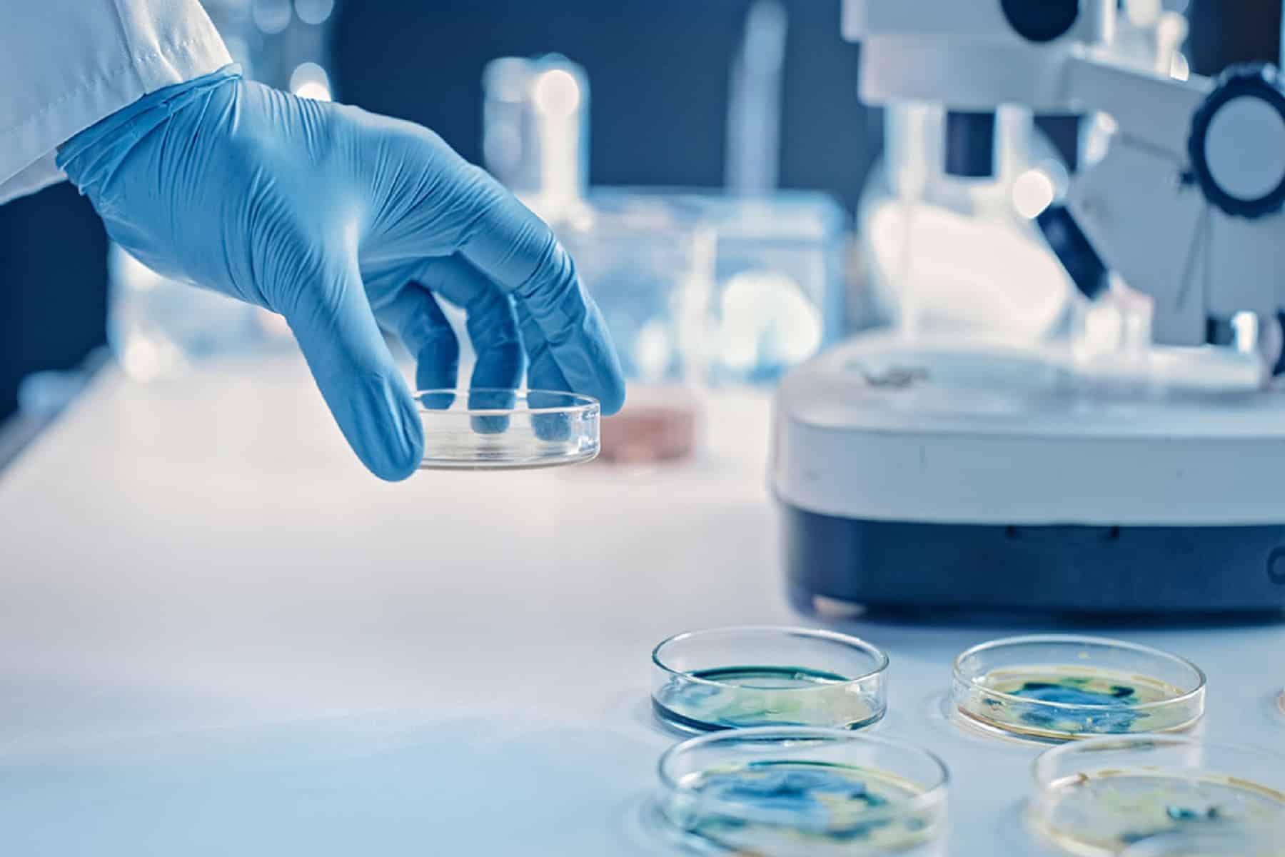 new discovery could help take down drug resistant bacteria