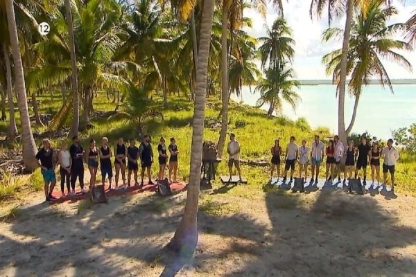 survivor 6