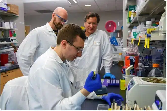 lab