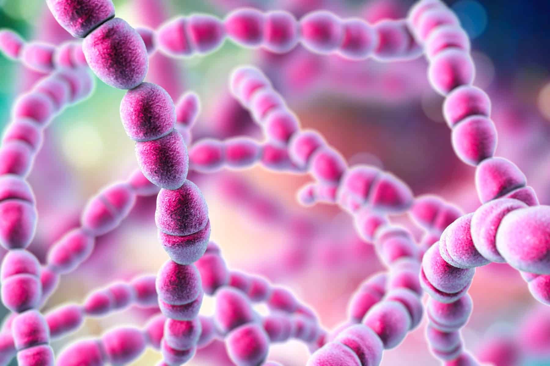 streptokokkos 1