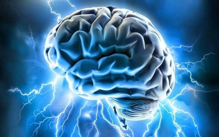 brain 1
