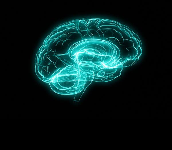 brain 2