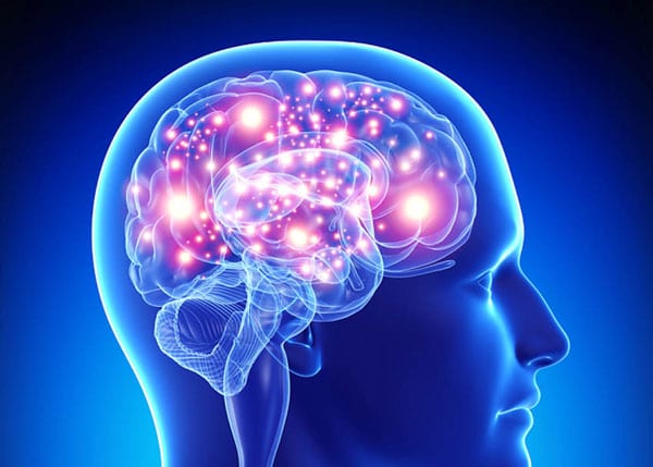 brain c