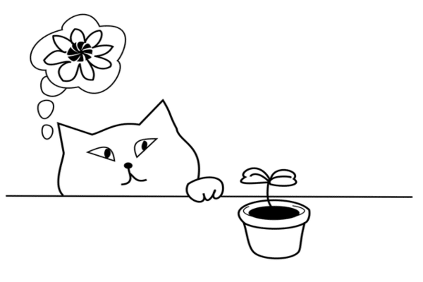 iremia