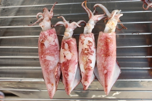 kalamari