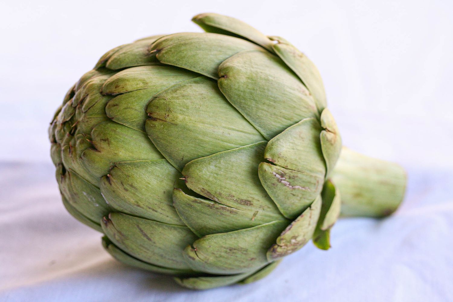 opt aboutcom coeus resources content migration simply recipes uploads 2007 04 ht cook artichokes lead 1 28aa75bb321e4c78b6beda2c604a56de