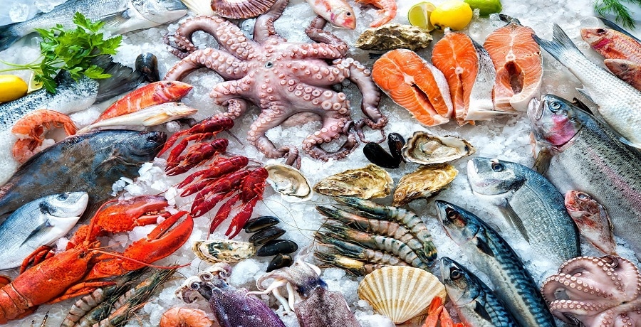 seafood